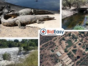 54 ha Farm in Wonderboom