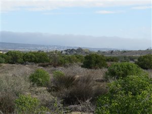 2 ha Land available in Long Acres