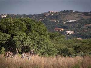 1005 m² Land available in Garsfontein
