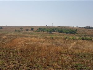 25 ha Farm in Pinehaven