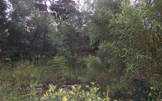 1900 m² Land available in Moreleta Park