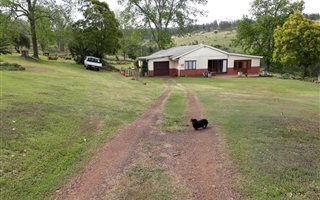 25 ha Smallholding in Thornville