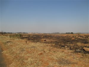7930 m² Land available in De Deur