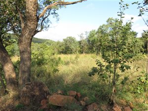 1305 m² Land available in Kranspoort