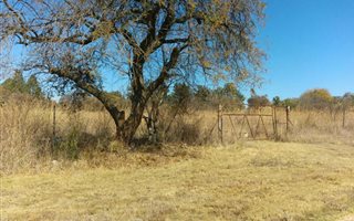 3965 m² Land available in Roossenekal
