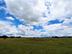 194 ha Farm in Modimole (Nylstroom)