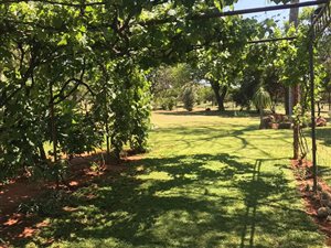 13 ha Farm in Onderstepoort