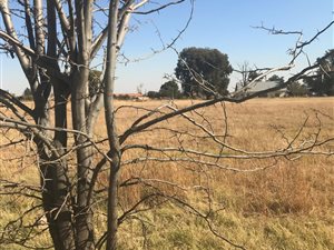 1025 m² Land available in Riversdale