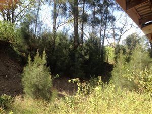 2.2 ha Land available in Shakaskraal