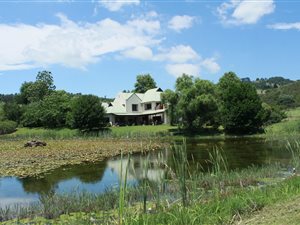 22 ha Farm in Dargle