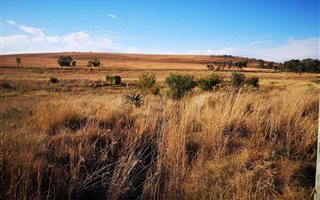 2.7 ha Land available in Blue Saddle Ranches
