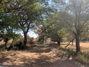 4092 ha Land available in Ruimsig AH