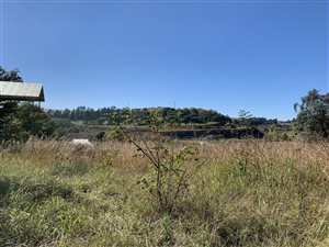 2975 m² Land available in Rosetta