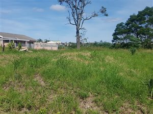 994 m² Land available in Marburg