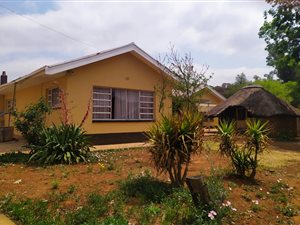3 Bed House in Oudorp