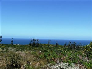 1 ha Land available in Pezula Private Estate