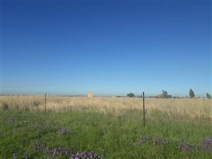 1 ha Land available in Nelsonia