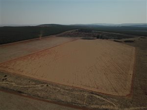 108 ha Farm in Belfast