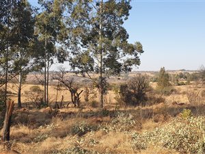 22 ha Land available in Tierpoort