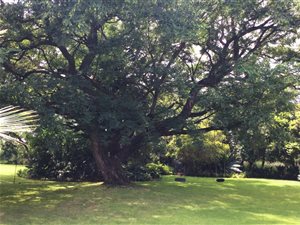 8 ha Farm in Tweefontein