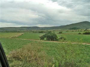 122 ha Farm in Herbertsdale