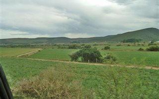 122 ha Farm in Herbertsdale