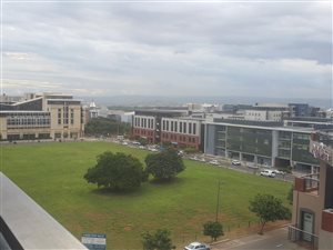1 Bed Apartment in Herrwood Park
