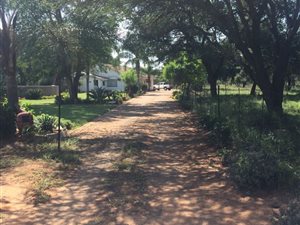 80 ha Farm in Buffelsdrift AH