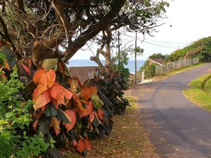 2137 m² Land available in Umzumbe
