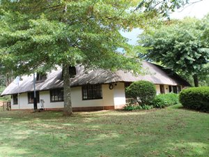 21.4 ha Farm in Howick