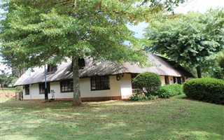 21.4 ha Farm in Howick