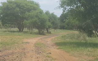 126 ha Farm in Thabazimbi