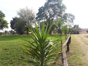 5 Bed House in Rispark