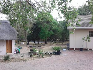9000 m² Farm in Halfway Gardens