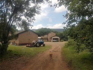 5 Bed House in Eston