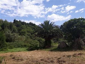 1146 m² Land available in Bergsig