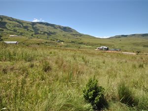 1156 m² Land available in Vulintaba Country Estate