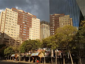 1 Bed Apartment in Newtown