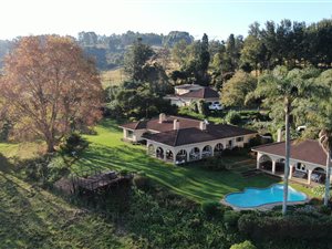 7.7 ha Farm in Greytown