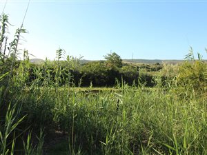 429 m² Land available in Hartenbos