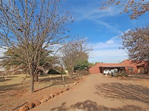 Farm in Heidelberg Central
