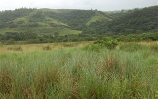 143 ha Farm in Shelly Beach