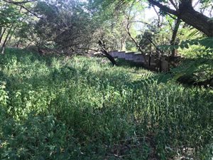 2465 m² Land available in Lynnwood Ridge