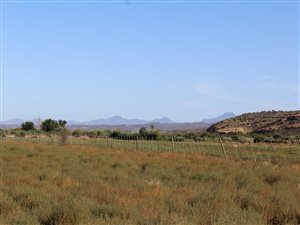 16 ha Farm in Calitzdorp