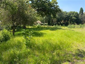 2500 m² Land available in Atholl