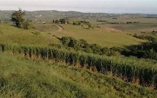 4 ha Farm in Mandini