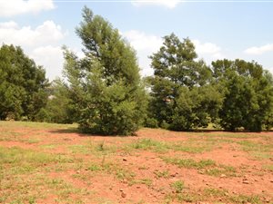 1 ha Land available in Rietvlei View