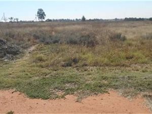 8.6 ha Land available in Meyerton
