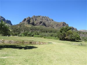 Farm in Northern Paarl