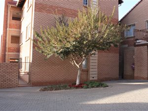 3 Bed House in Hazeldean (Silverlakes Surroundings)